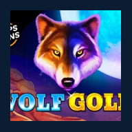 Wolf Gold
