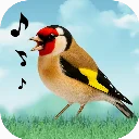 Birds Sounds icon